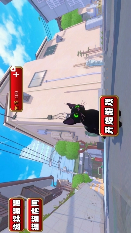 治愈萌宠-小猫咪大城市