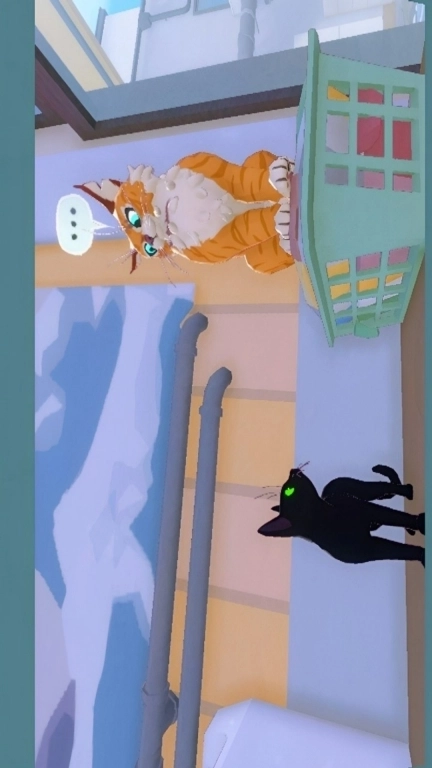 治愈萌宠-小猫咪大城市