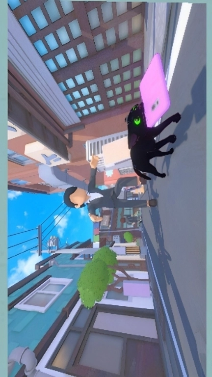 治愈萌宠-小猫咪大城市