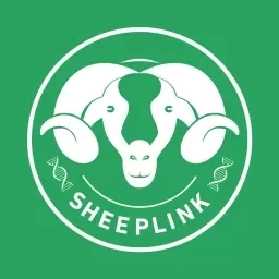 SheepLink
