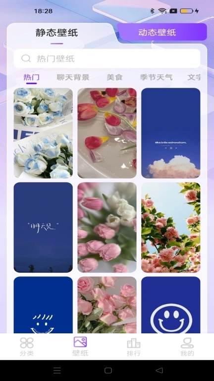 元汽动态壁纸-主题壁纸