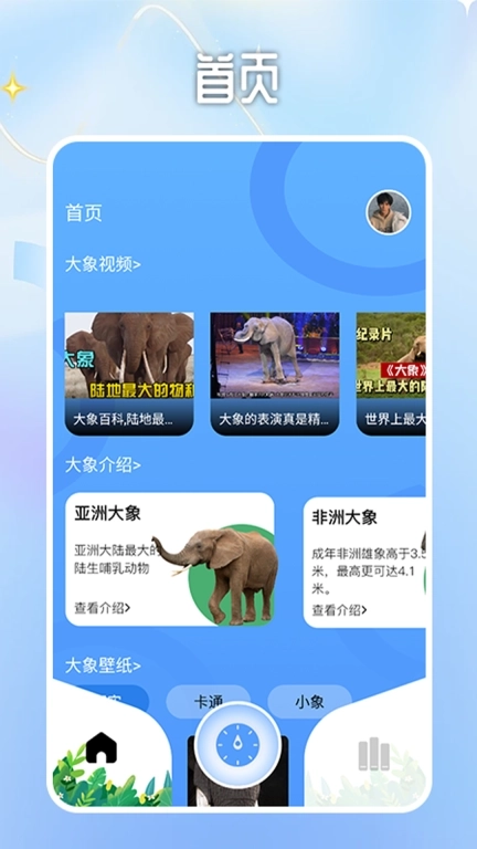 小象随机大转盘