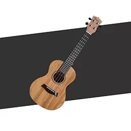 尤克里里学堂-尤克里里的小助手