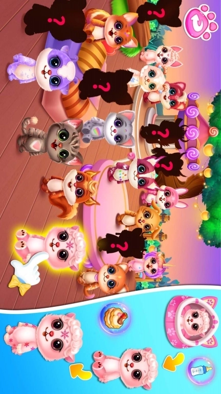 可爱宠物护理屋