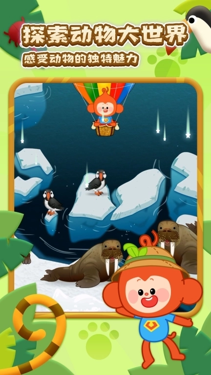 动物大世界