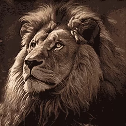 野兽领主动物百科