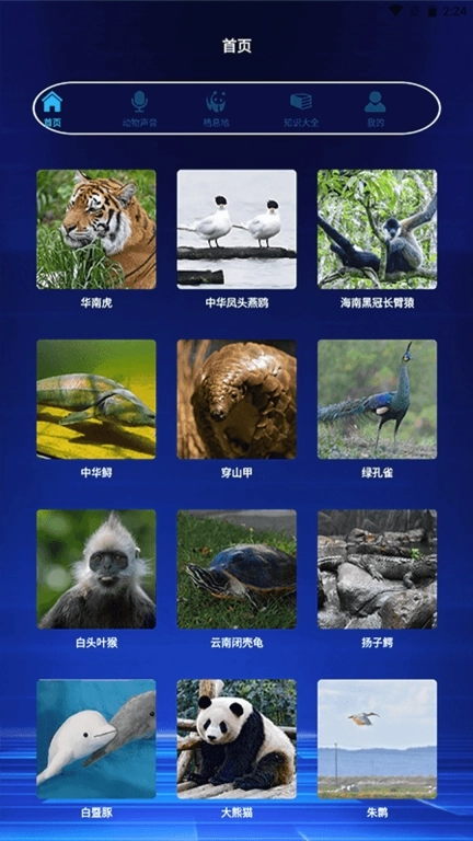 野兽领主动物百科