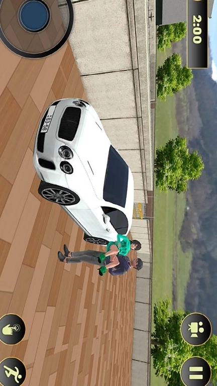 动漫怀孕妈妈家庭模拟