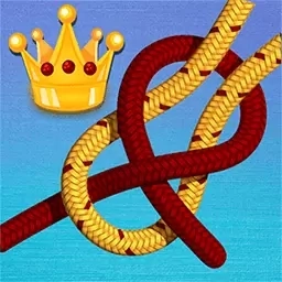 绳结模拟助手3D-解绳子