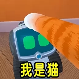 猫咪喵喵喵-我是猫