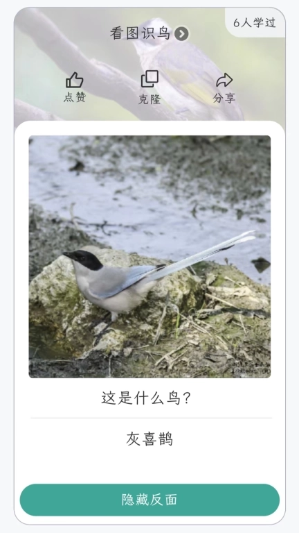 忆知助手-艾宾浩斯AI卡片记忆