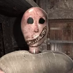 无尽恐怖故事-恐怖奶奶重制版