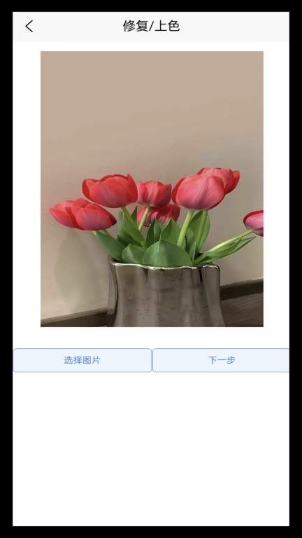 年龄相机-变性相机