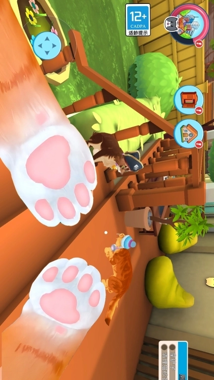 瞌睡猫玩乐时间