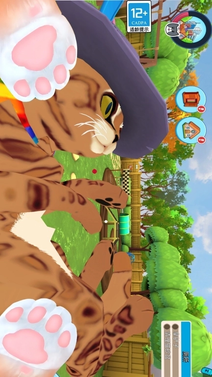 瞌睡猫玩乐时间