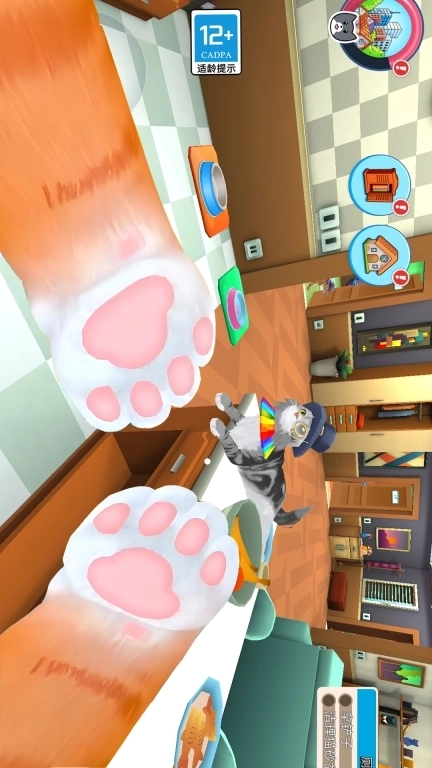 瞌睡猫玩乐时间