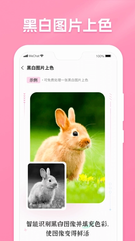 极速照片恢复助手-手机数据恢复