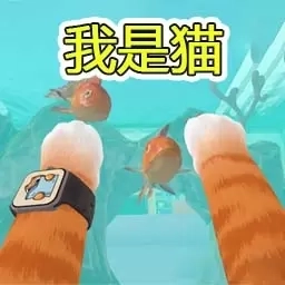 趣味大挑战-我是猫