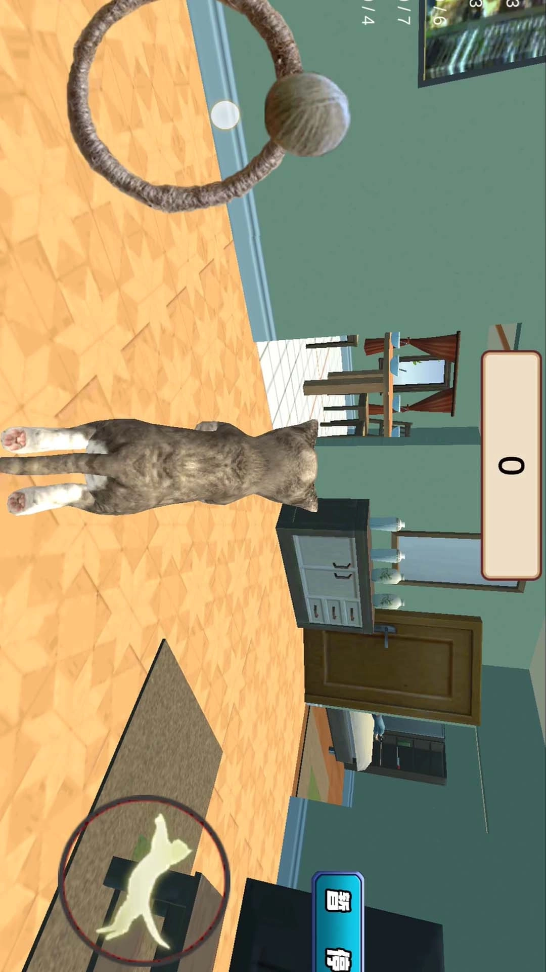 趣味大挑战-我是猫