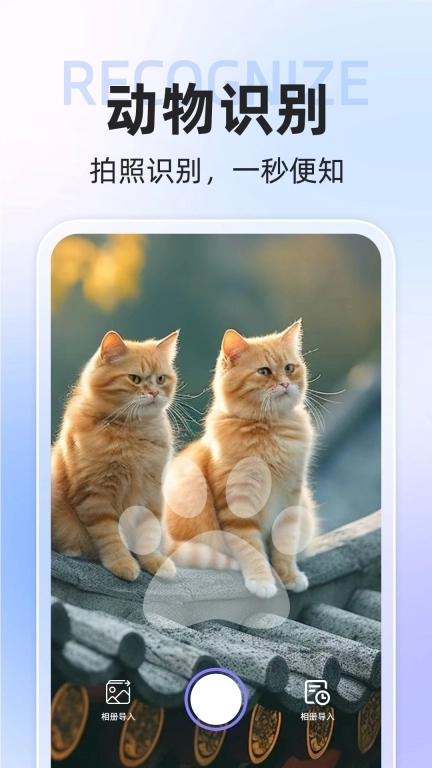 AI识动物相机