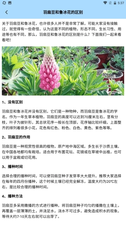 我要教你开花店
