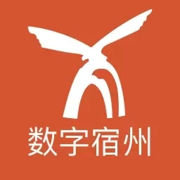 数字宿州