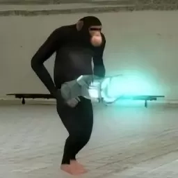 公狒狒沙盒模组冒险