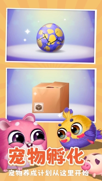 我的毛球小精灵