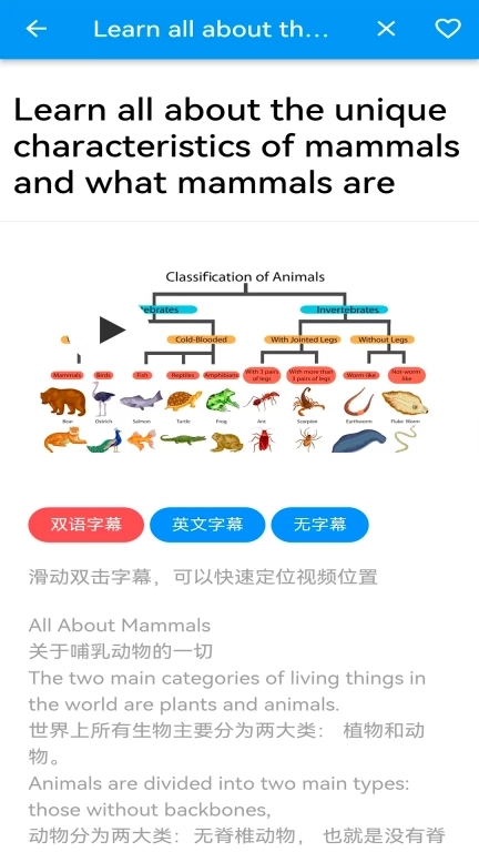 语小伴-外语学习神器