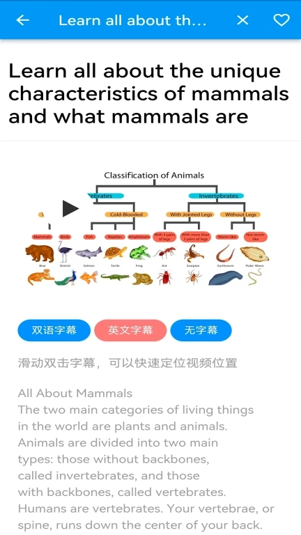 语小伴-外语学习神器