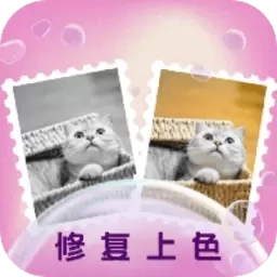 光影老照片恢复-黑白照片上色