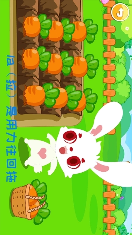 小小音乐家-学音符