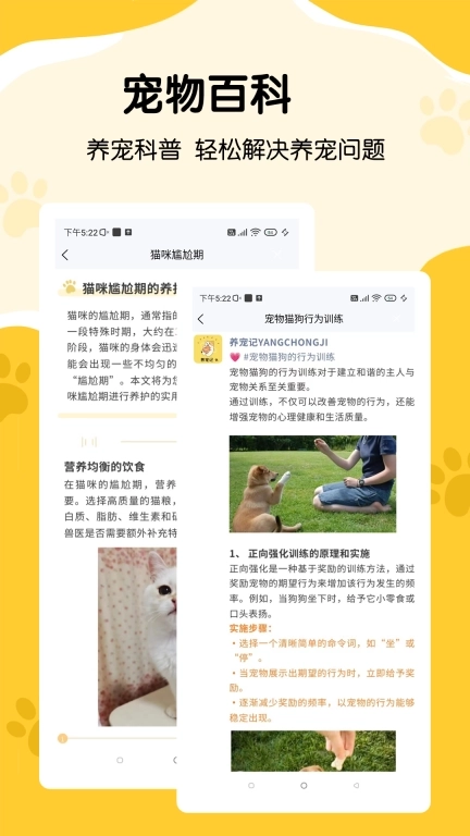 养宠记-宠物记录养猫日记