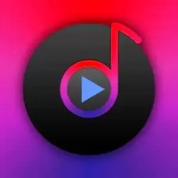 本地视频播放器