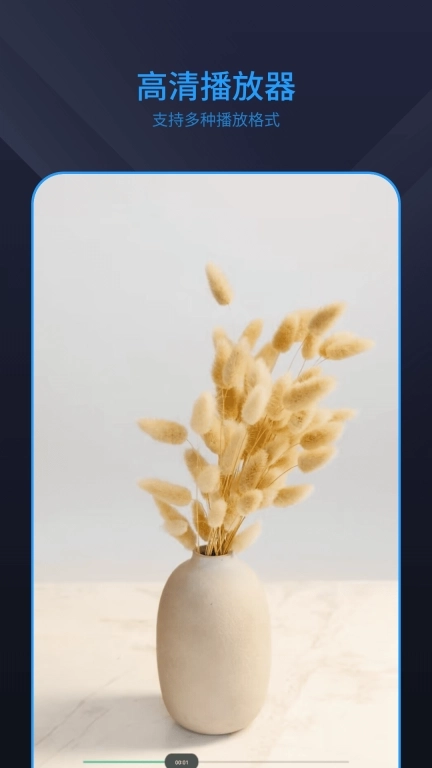 全能影音播放器软件