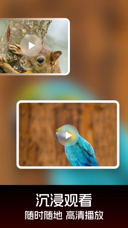 私人加密播放器