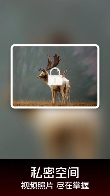 私人加密播放器