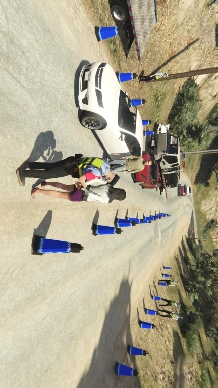 全民检查官-交警模拟检查