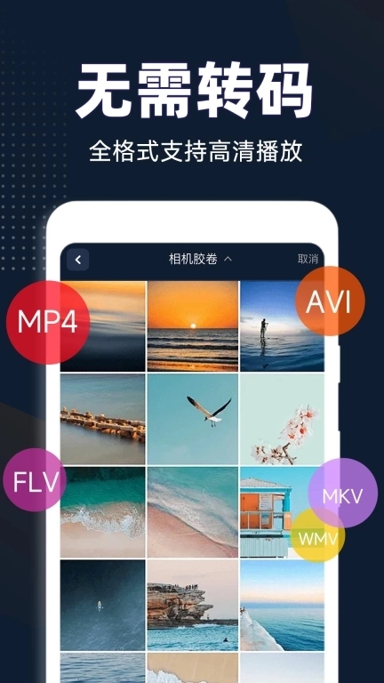 私人影藏播放器