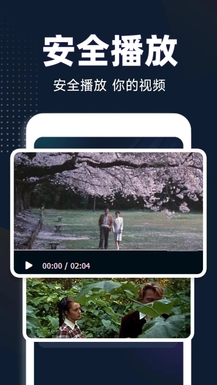 私人影藏播放器
