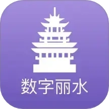 数字丽水
