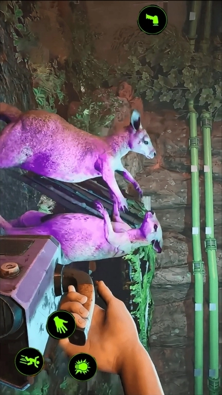 恐惧滋生-癫狂动物园