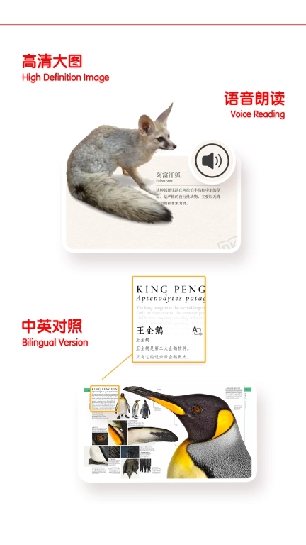 千奇百科岛-Dk儿童百科