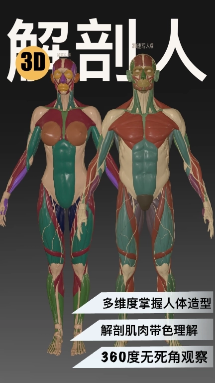 3D速写-360解决绘画造型