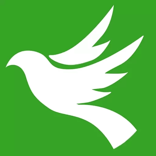 绿山飞天&middot;共创