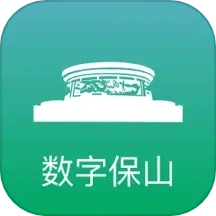 数字保山