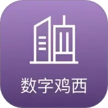 数字鸡西