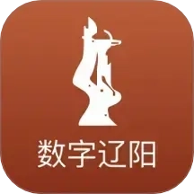 数字辽阳