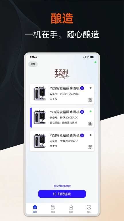 麦百利精酿啤酒机