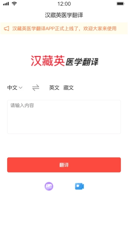 汉藏英医学翻译